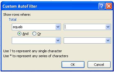 Excel Custom Filter
